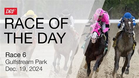 drf race of day|drf picks of the day.